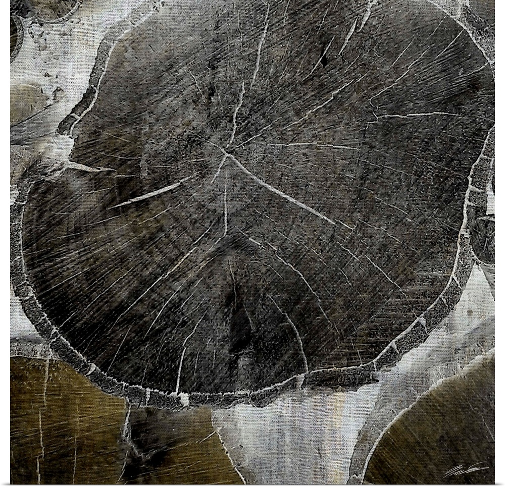 Abstract artwork in grey shades made from cross sections of tree trunks.