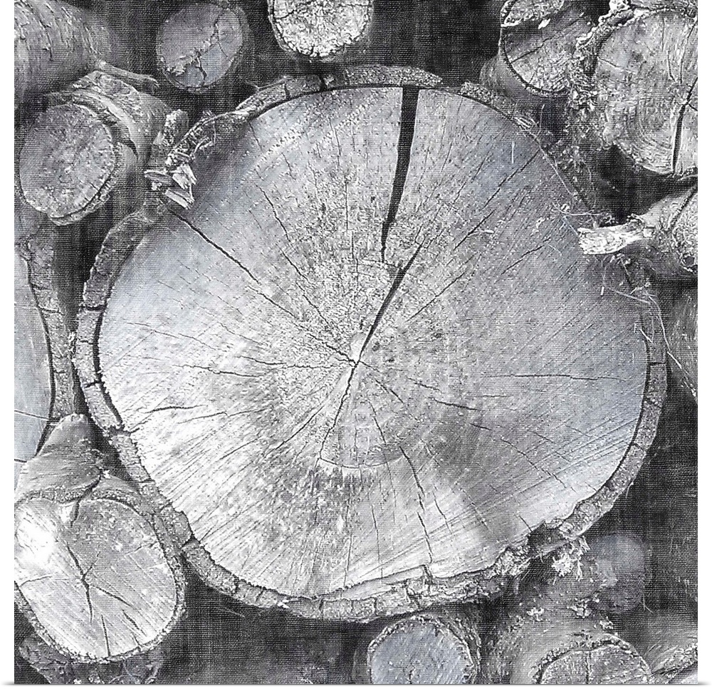 Abstract artwork in grey shades made from cross sections of tree trunks.