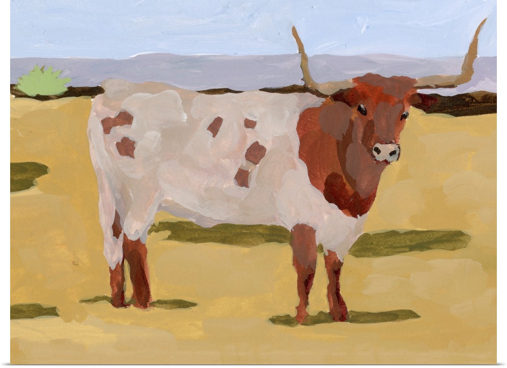 Longhorn Cattle II