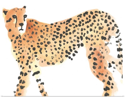 Majestic Cheetah II