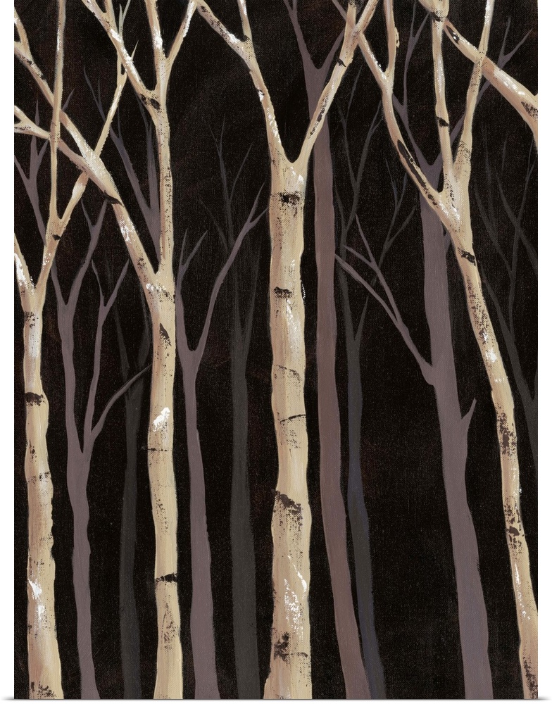 Midnight Birches I