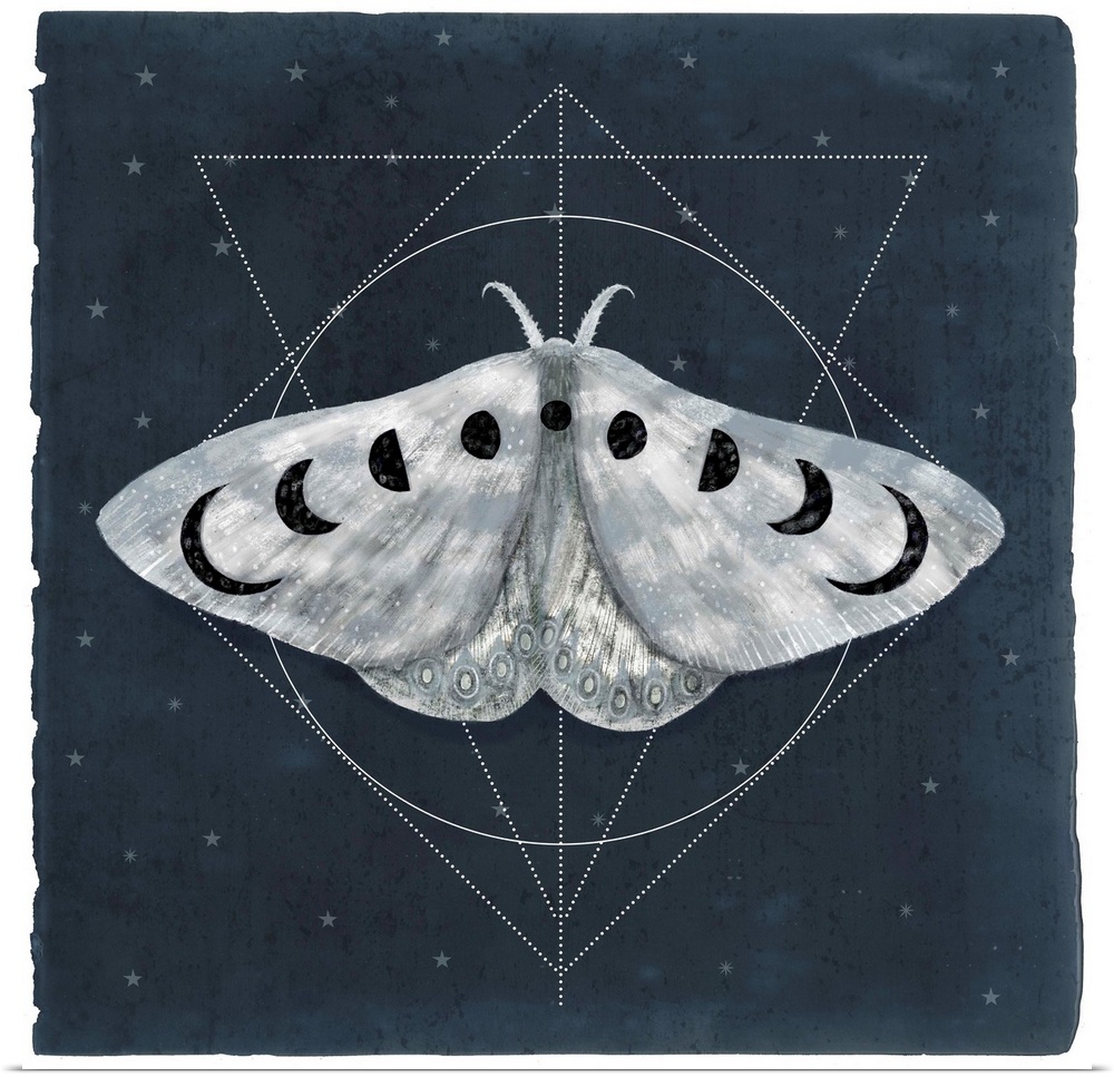 Watercolor moth with moon shapes on its wings in front of geometric shapes on a navy background.