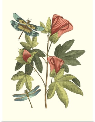 Midsummer Floral III