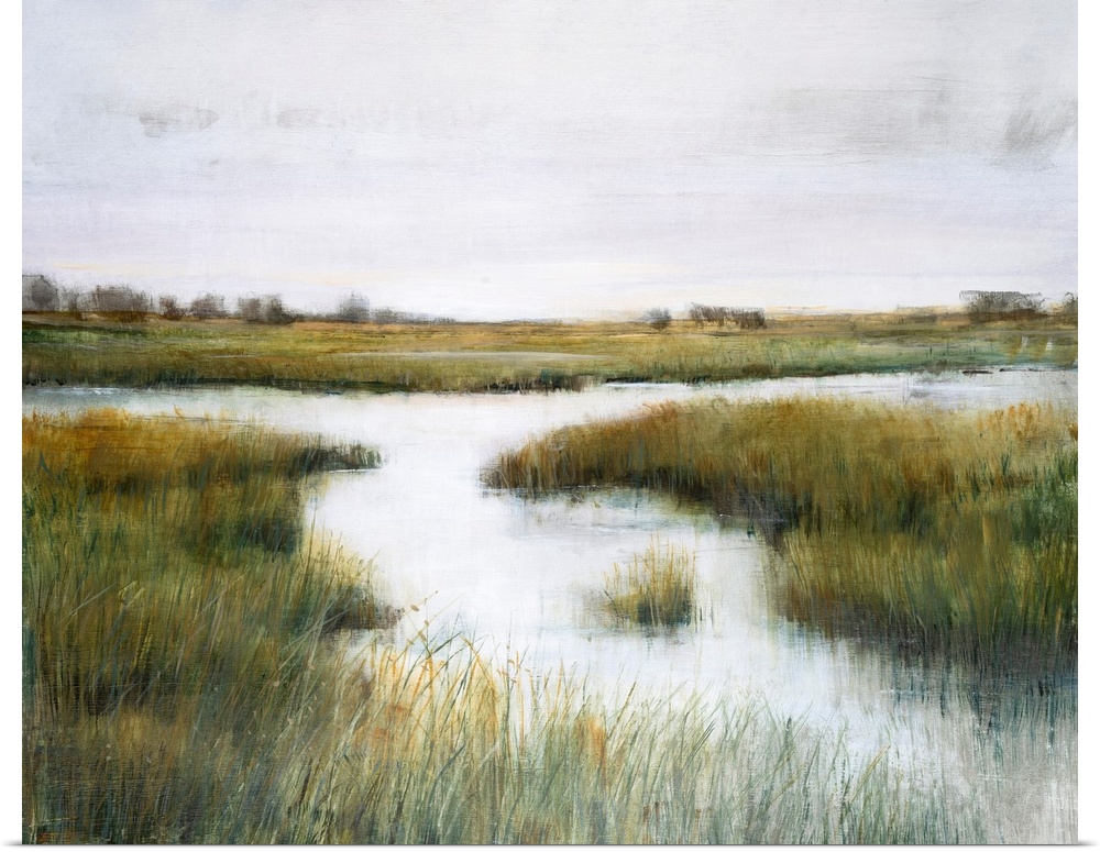 A beautiful serene scene of tall reeds growing in a marsh setting. The grasses are tipped with gold to suggest late aftern...