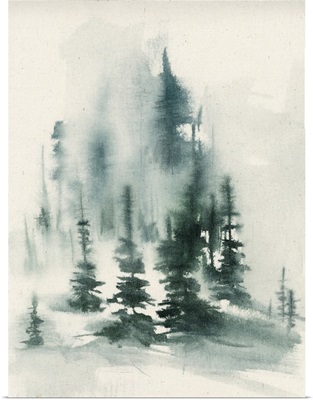 Misty Winter I