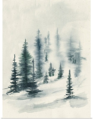Misty Winter II