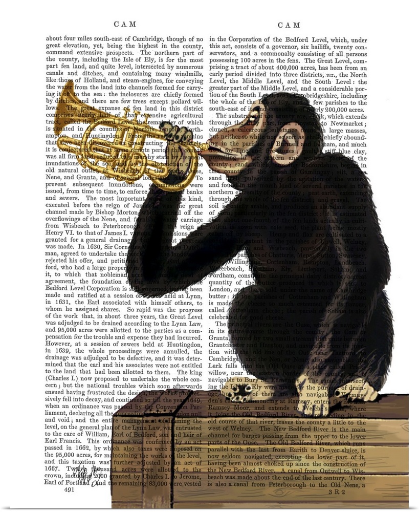 Monkey Playing Trumpet