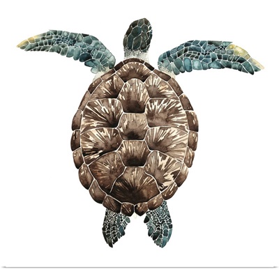 Mosaic Turtle I