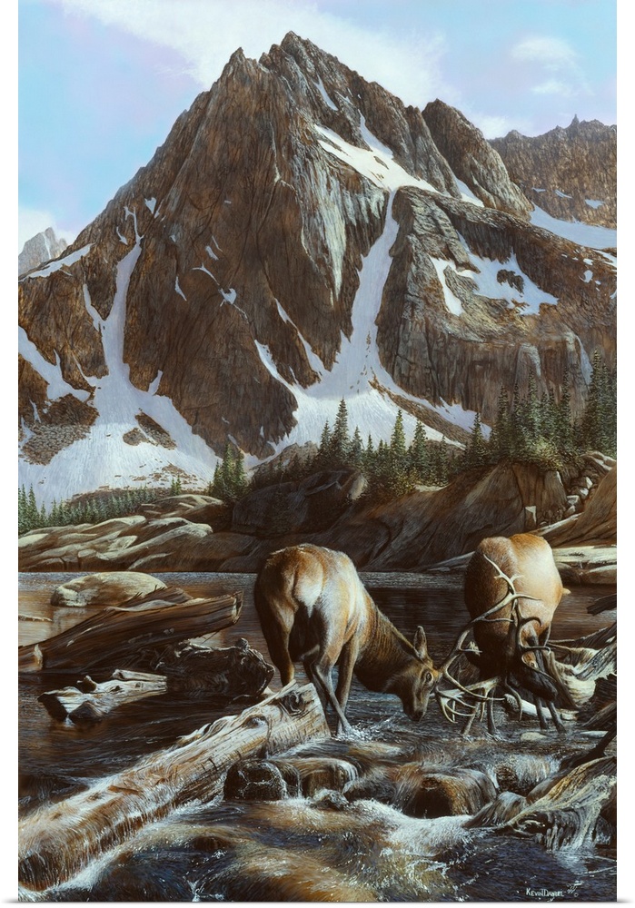 Mountainside Elk II