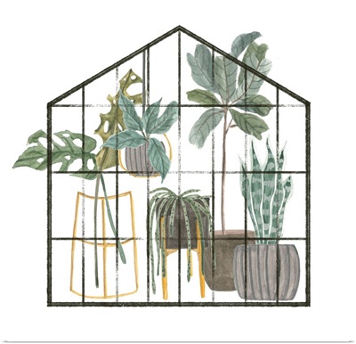 My Greenhouse II