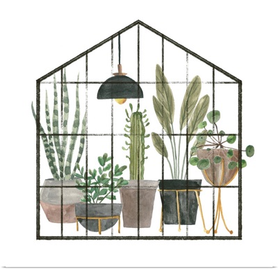 My Greenhouse IV