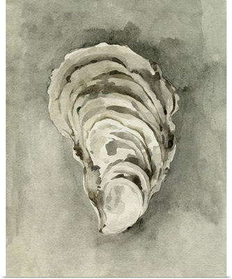Neutral Oyster Shell II