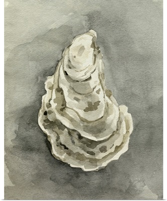 Neutral Oyster Shell IV