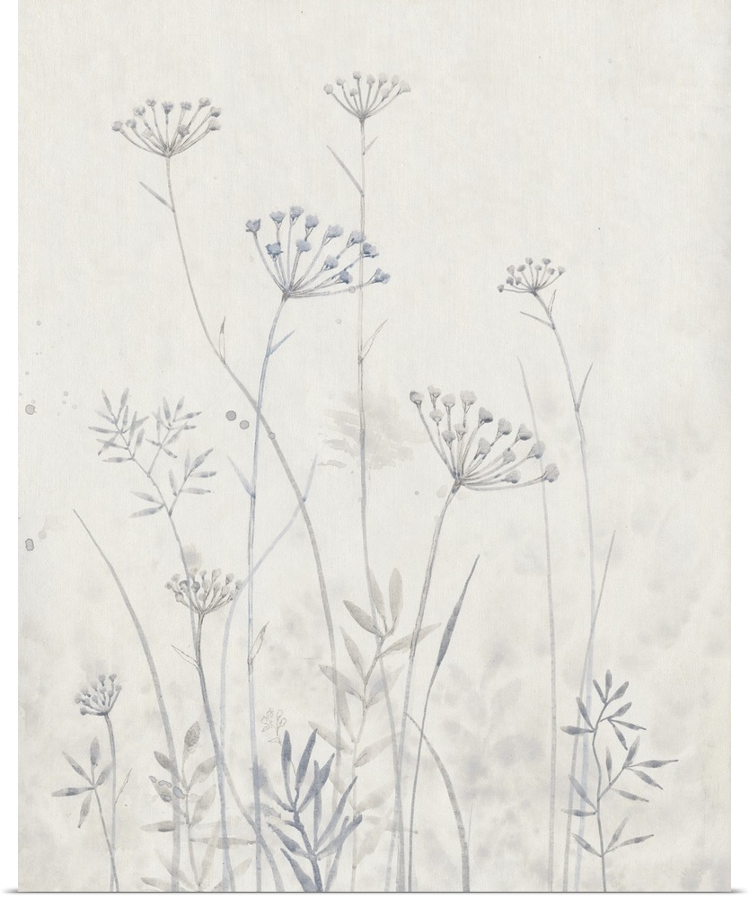 Delicate painting of Queen Anne's Lace flowers in light shades of gray on a cream background.