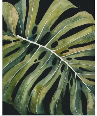 Nocturnal Monstera I