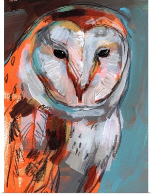 Optic Owl I