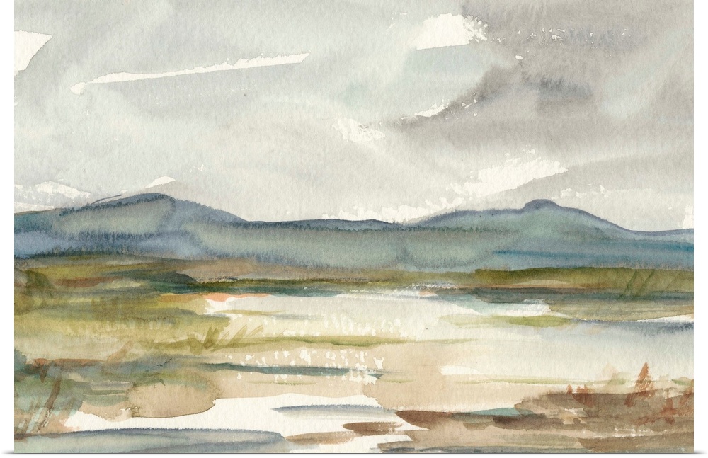 Overcast Wetland I