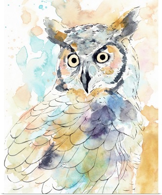 Owl Majestic II