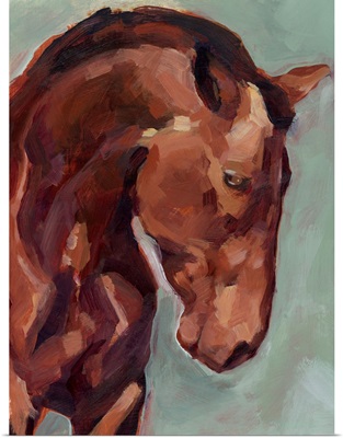 Paint By Number Horse II