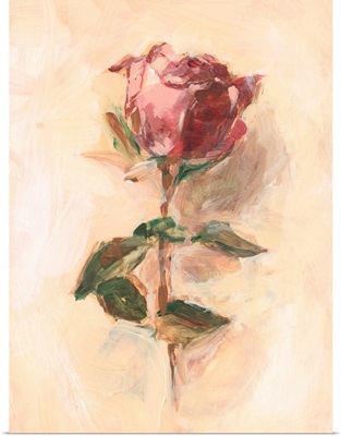 Painterly Rose Study I