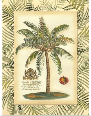 Palm in Bamboo II