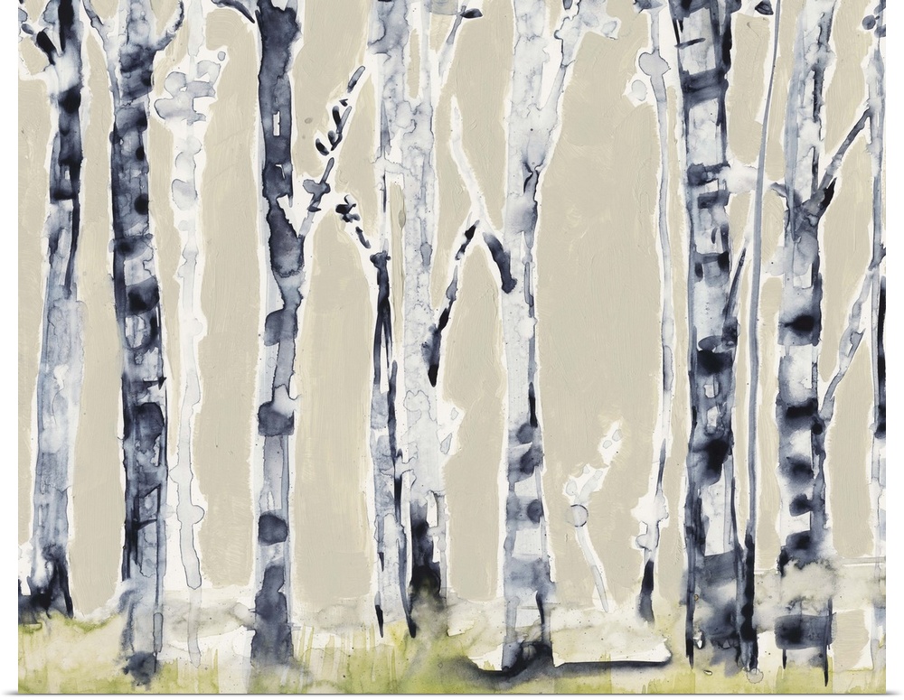 Watercolor painting of a grove of birch trees.
