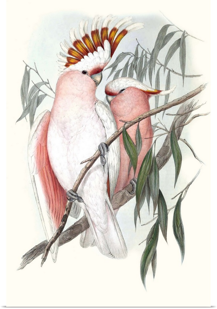 Decorative artwork of tropical parrots perched on branches in pastel tones.