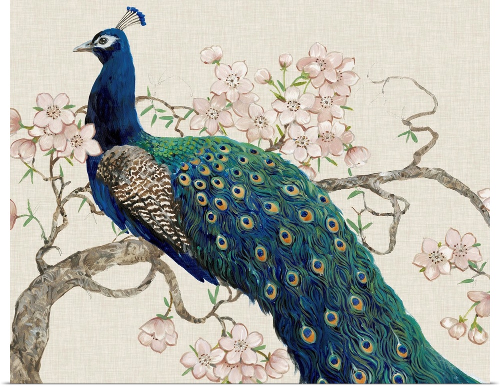 Peacock and Blossoms II
