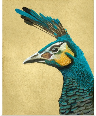 Peacock Profile I
