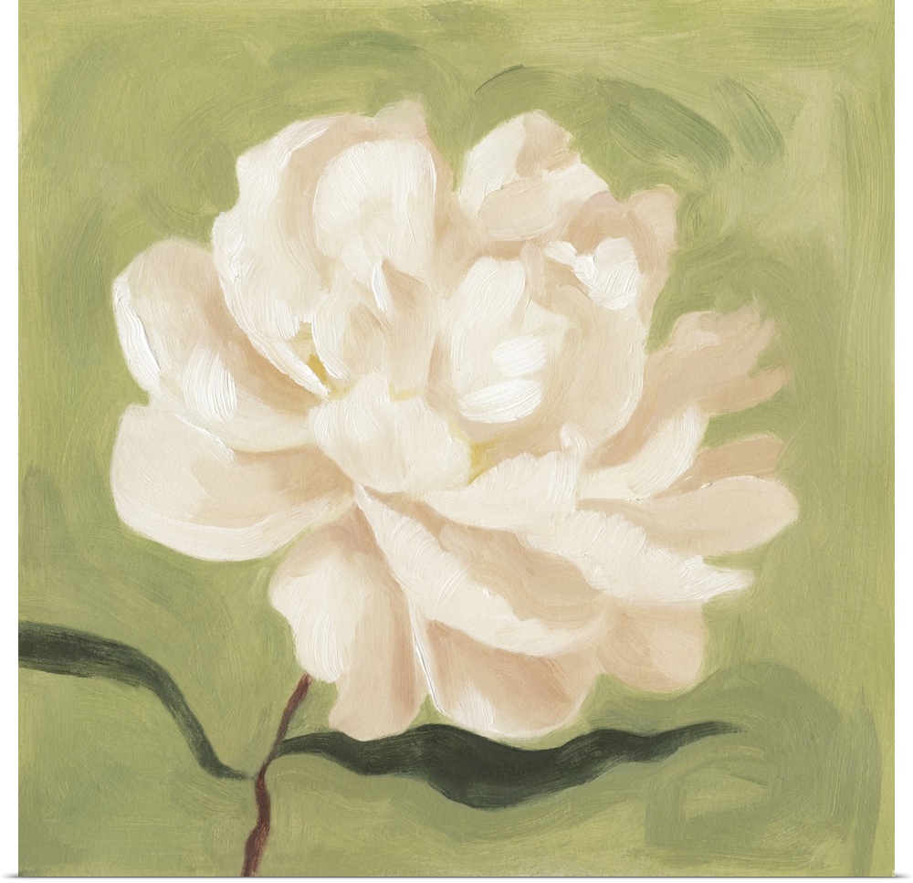 Contemporary artwork of a peony flower painted in blush and white tones against a green background.