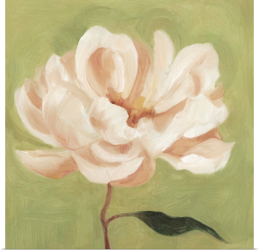 Contemporary artwork of a peony flower painted in blush and white tones against a green background.