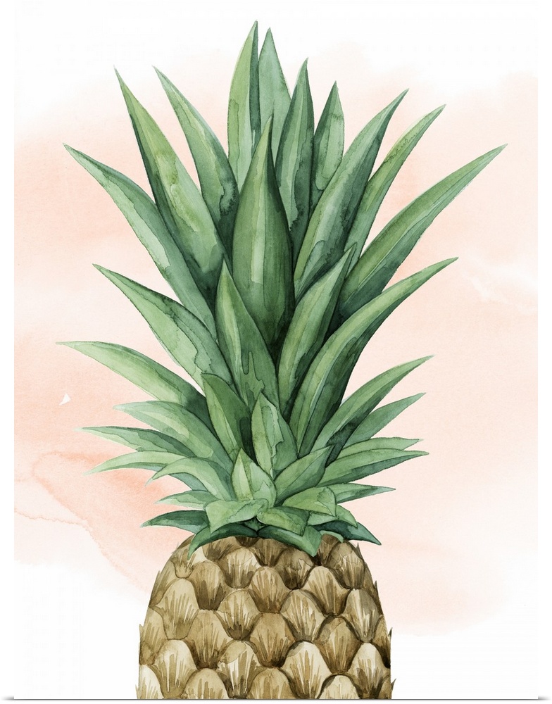 Layers of color emanate through in this cropped watercolor painting of a pineapple.