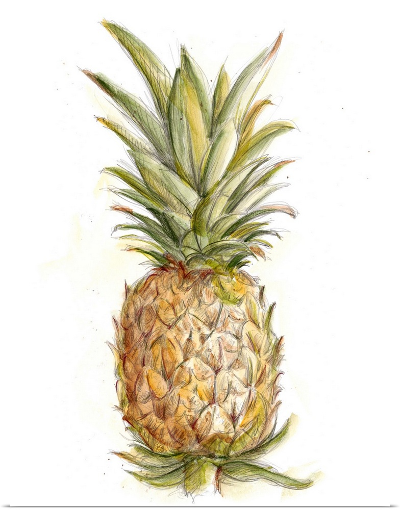 Still life painting of a pineapple on a white background.