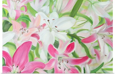 Pink And White Lilies II