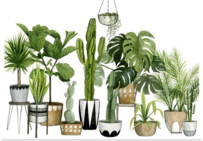 Plant Haven Collection  A