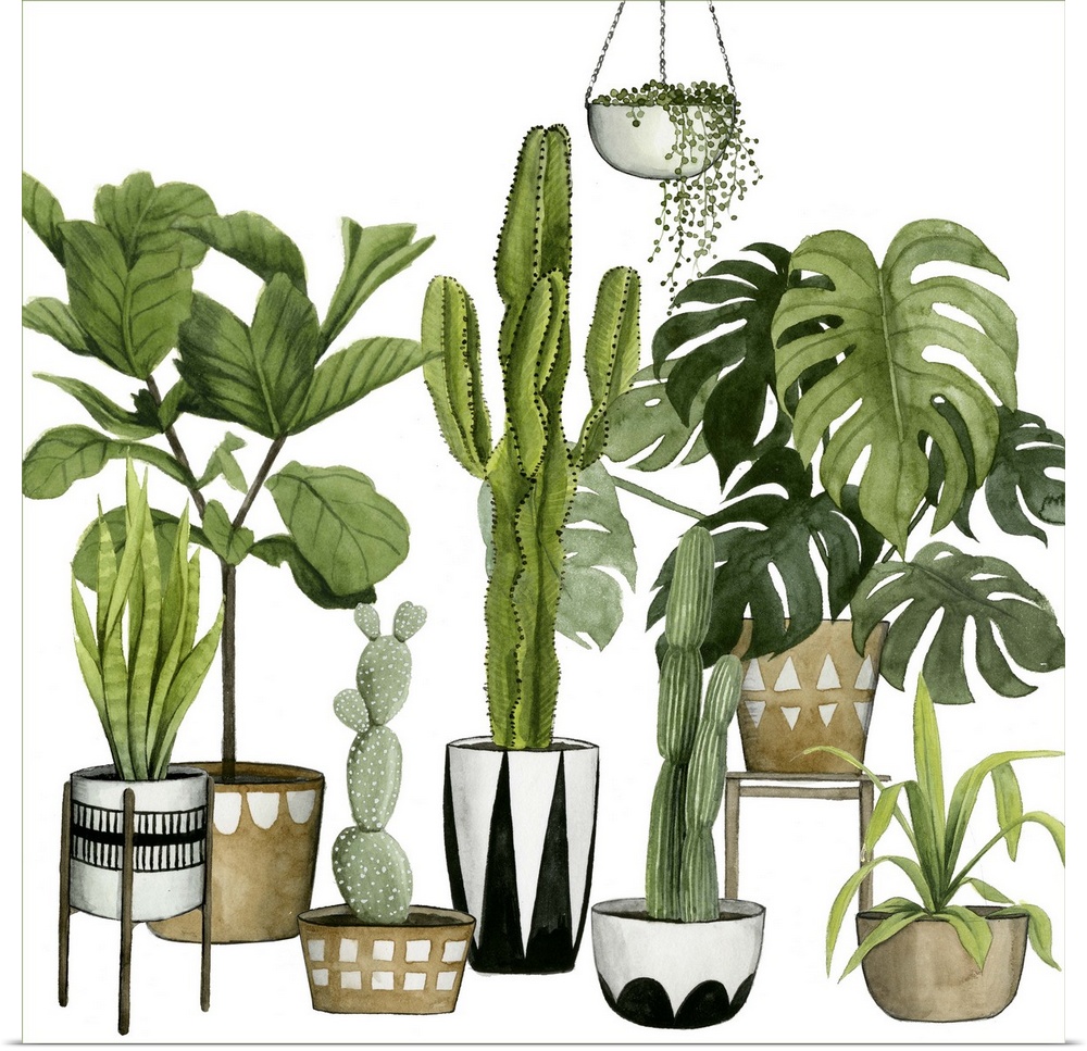 Illustration of a large collection of tropical plants and succulents, including palms and cacti.
