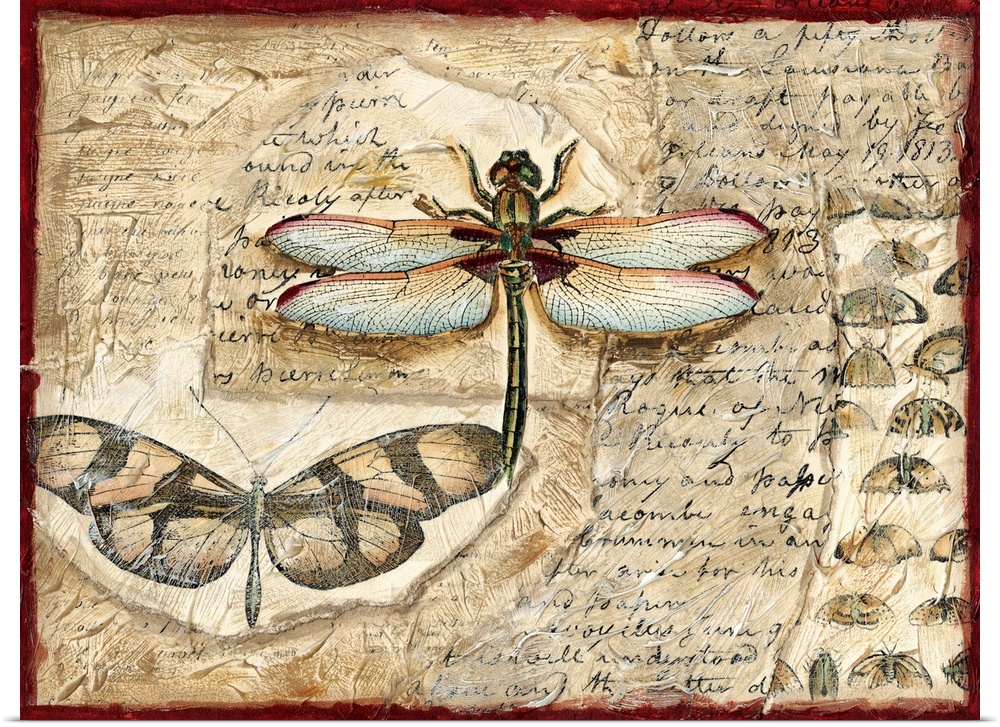 Poetic Dragonfly I