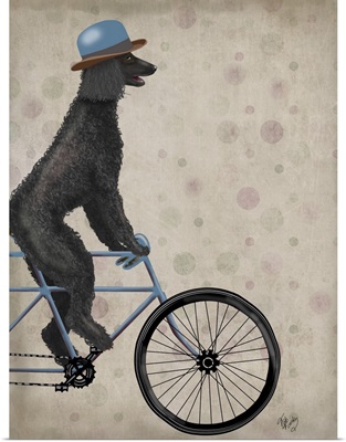 Poodle on Bicycle, Black