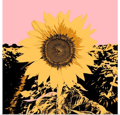 Pop Art Sunflower III