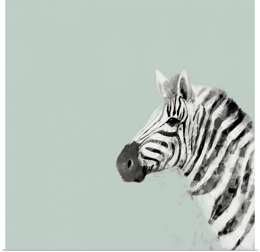 A decorative image of a profile of  zebra on the right side of a light blue background.