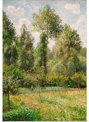 Poplars, Eragny