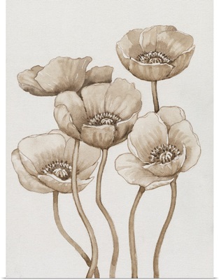 Poppies In Sepia I