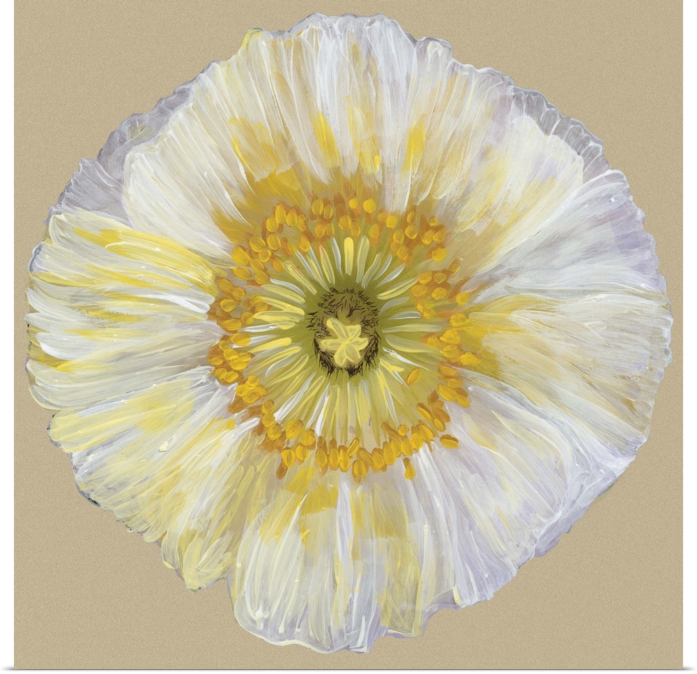 Poppy Blossom II