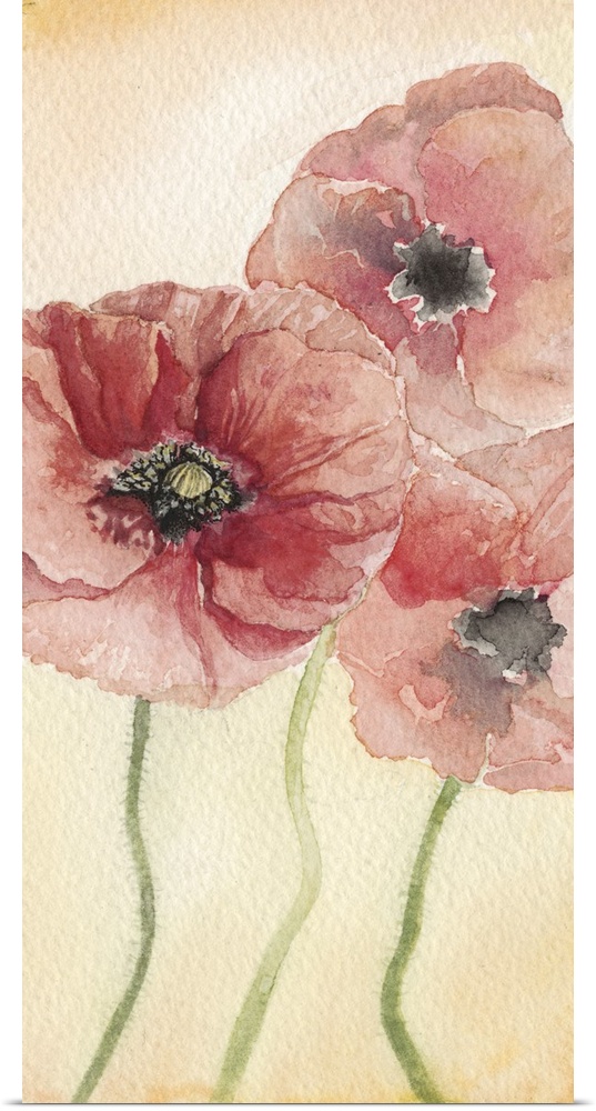 An elegant watercolor painting of red poppies on a warm tone backdrop.