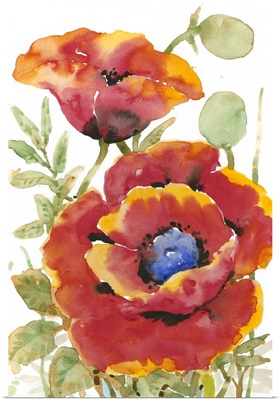 Poppy Floral I