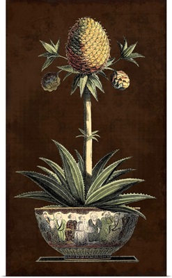 Potted Pineapple I