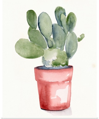 Potted Succulent I