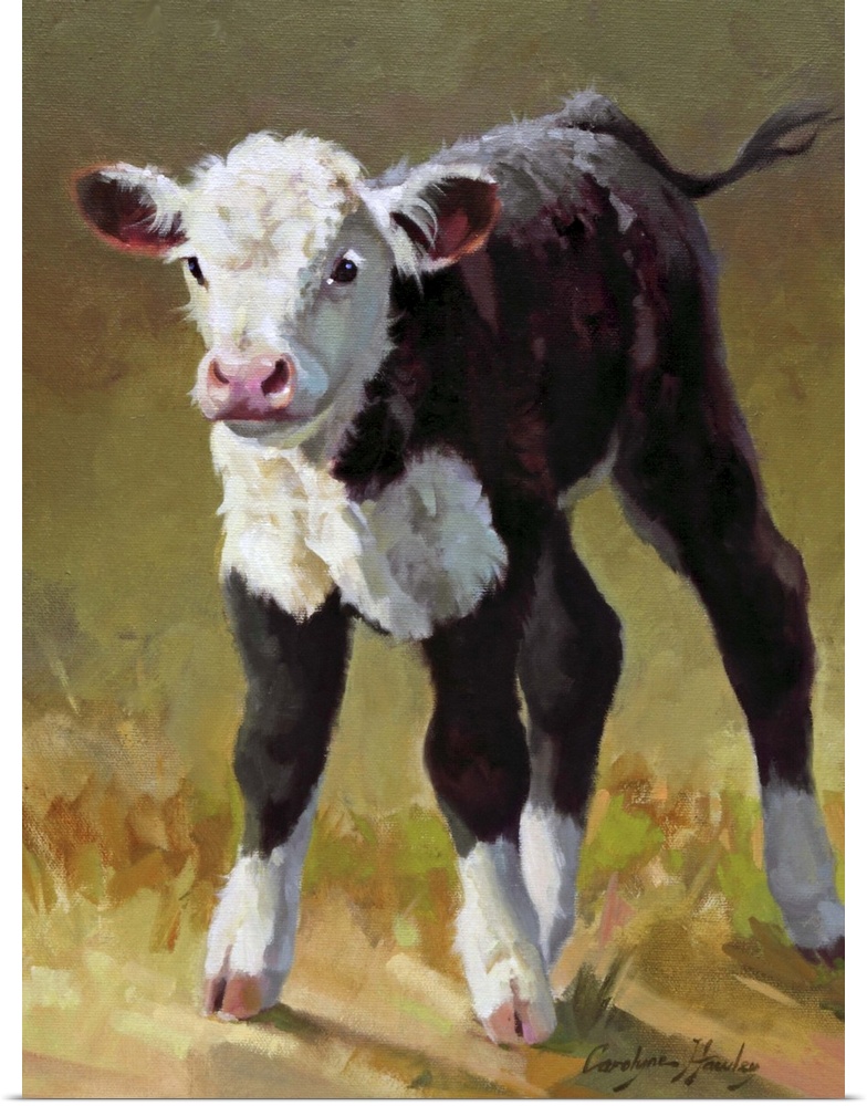 Contemporary artwork of a young brown and white calf.