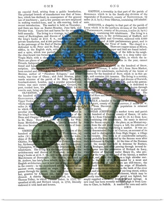 Psychedelic Mushrooms 1