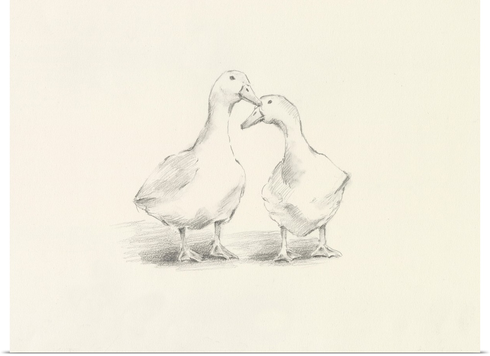 Quack Quack I